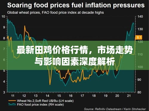 最新田鸡价格行情，市场走势与影响因素深度解析