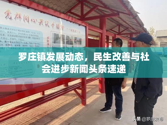 罗庄镇发展动态，民生改善与社会进步新闻头条速递