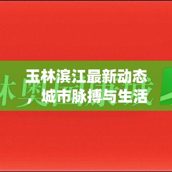 玉林滨江最新动态，城市脉搏与生活热点聚焦