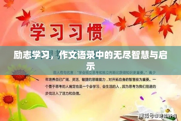 励志学习，作文语录中的无尽智慧与启示