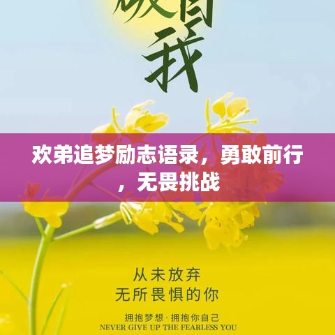 欢弟追梦励志语录，勇敢前行，无畏挑战