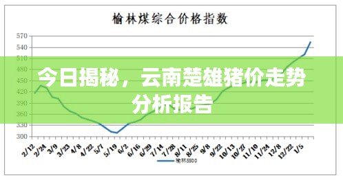 今日揭秘，云南楚雄猪价走势分析报告