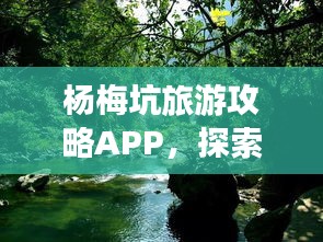 杨梅坑旅游攻略APP，探索自然美景的神秘之旅