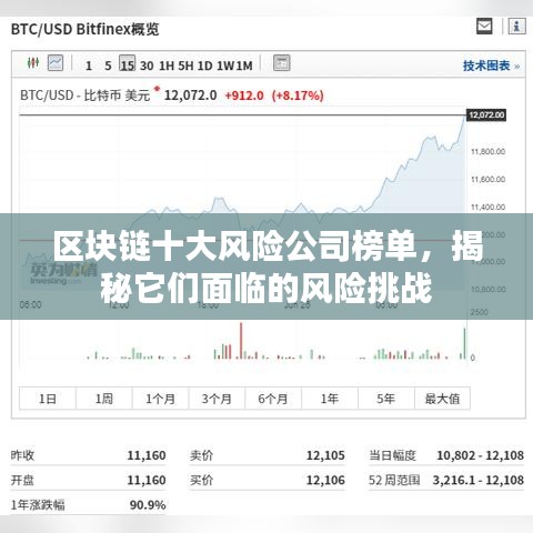 区块链十大风险公司榜单，揭秘它们面临的风险挑战