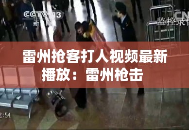 雷州抢客打人视频最新播放：雷州枪击 