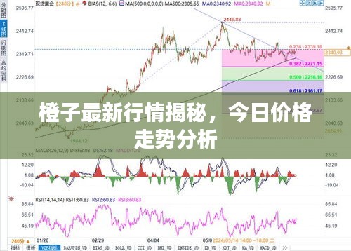 关于我们 第87页