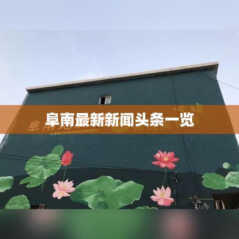 阜南最新新闻头条一览