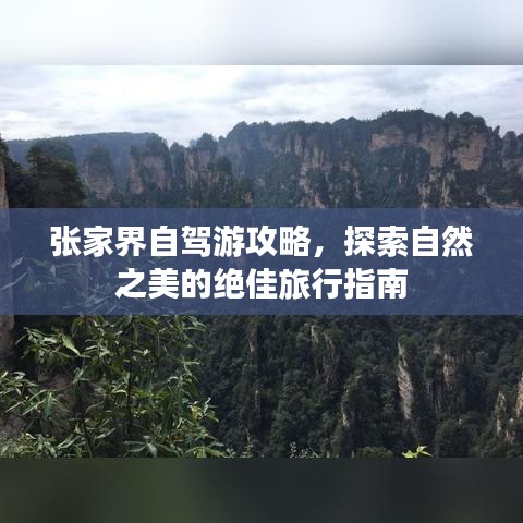 张弓拔弩 第2页