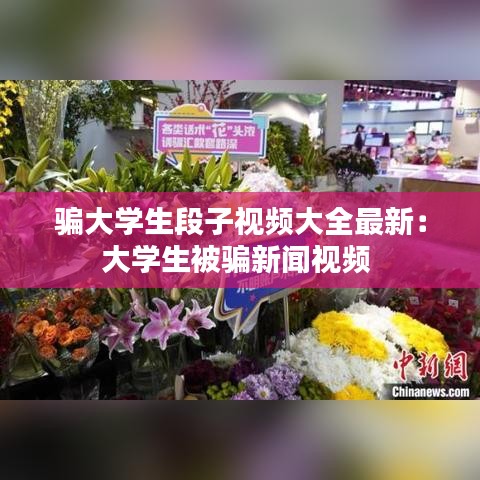 骗大学生段子视频大全最新：大学生被骗新闻视频 