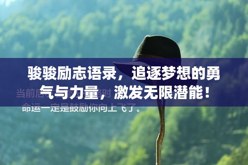 骏骏励志语录，追逐梦想的勇气与力量，激发无限潜能！