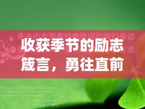 收获季节的励志箴言，勇往直前，不负韶华