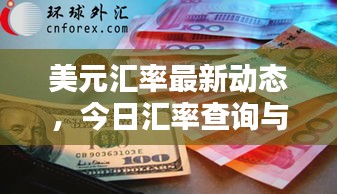 美元汇率最新动态，今日汇率查询与影响因素深度解析