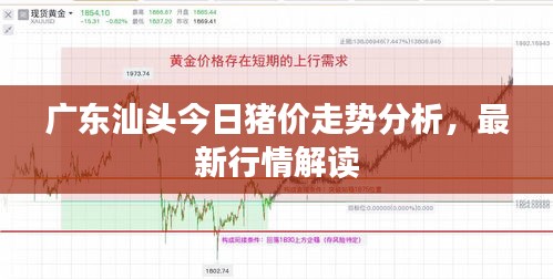 广东汕头今日猪价走势分析，最新行情解读