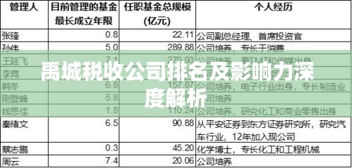 禹城税收公司排名及影响力深度解析