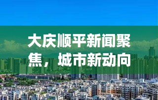 大庆顺平新闻聚焦，城市新动向与发展亮点速递