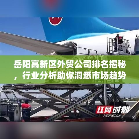 岳阳高新区外贸公司排名揭秘，行业分析助你洞悉市场趋势