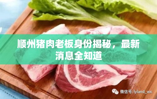 顺州猪肉老板身份揭秘，最新消息全知道