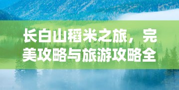 长白山稻米之旅，完美攻略与旅游攻略全解析