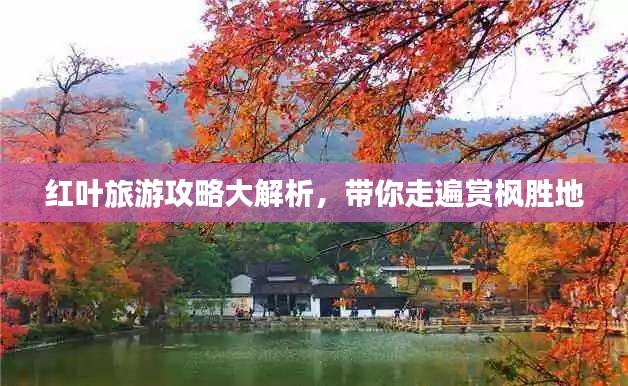 红叶旅游攻略大解析，带你走遍赏枫胜地