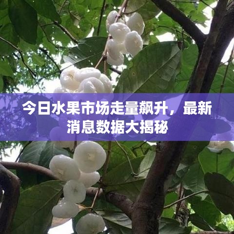 今日水果市场走量飙升，最新消息数据大揭秘