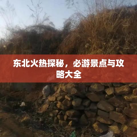 东北火热探秘，必游景点与攻略大全