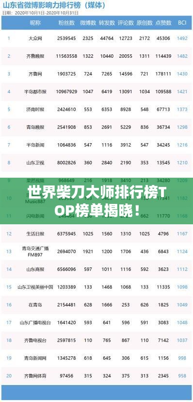 世界柴刀大师排行榜TOP榜单揭晓！