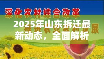 2025年山东拆迁最新动态，全面解析最新政策与补偿标准！