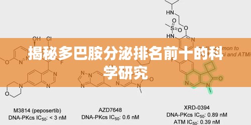 揭秘多巴胺分泌排名前十的科学研究