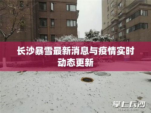 长沙暴雪最新消息与疫情实时动态更新