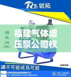 福建气体增压泵公司权威排名榜单揭晓！