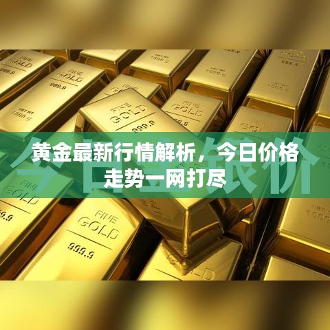 黄金最新行情解析，今日价格走势一网打尽