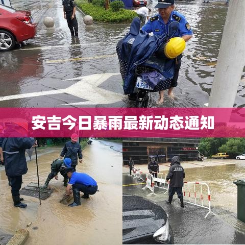 安吉今日暴雨最新动态通知