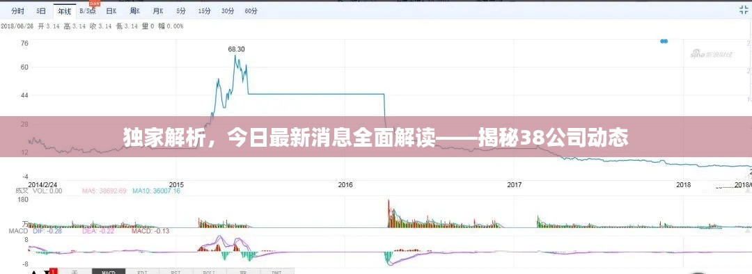 独家解析，今日最新消息全面解读——揭秘38公司动态