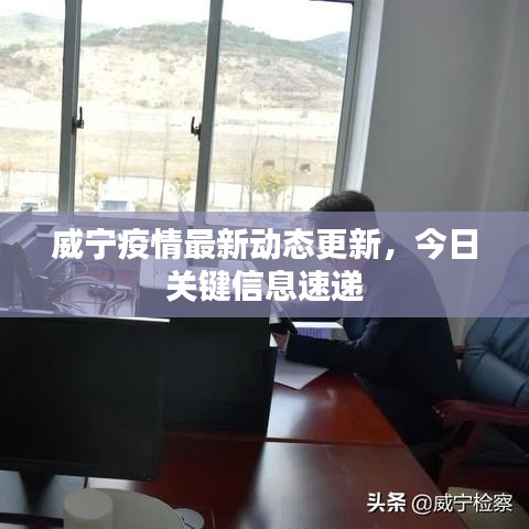 威宁疫情最新动态更新，今日关键信息速递