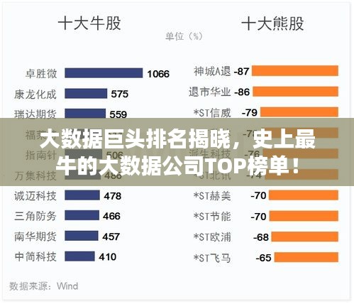 大数据巨头排名揭晓，史上最牛的大数据公司TOP榜单！