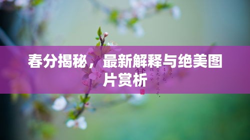 春分揭秘，最新解释与绝美图片赏析