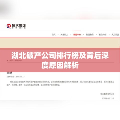 湖北破产公司排行榜及背后深度原因解析