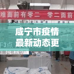 咸宁市疫情最新动态更新