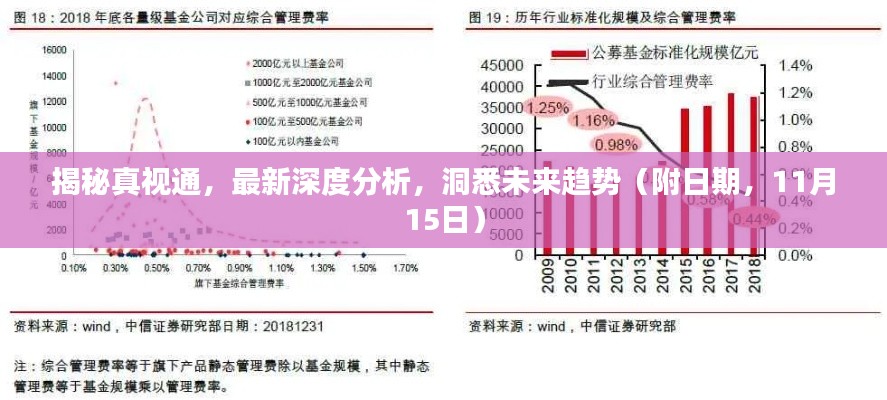 揭秘真视通，最新深度分析，洞悉未来趋势（附日期，11月15日）