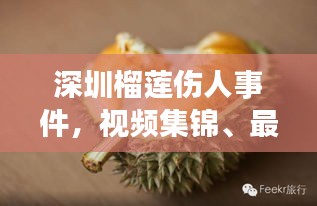 深圳榴莲伤人事件，视频集锦、最新报道与深度剖析