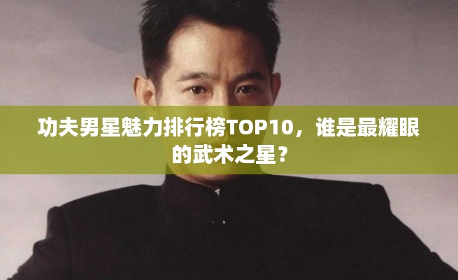 功夫男星魅力排行榜TOP10，谁是最耀眼的武术之星？