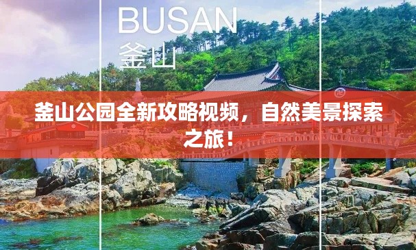 釜山公园全新攻略视频，自然美景探索之旅！