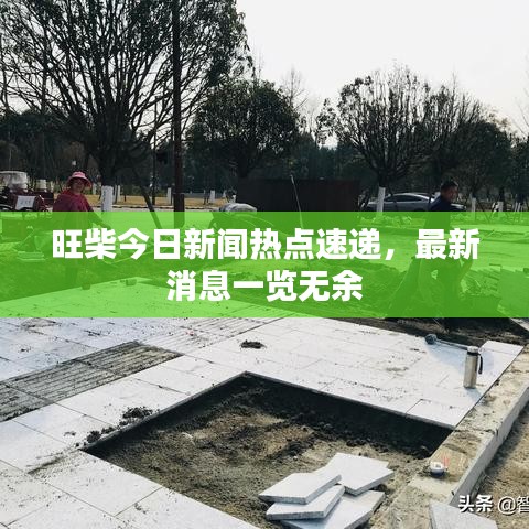 旺柴今日新闻热点速递，最新消息一览无余