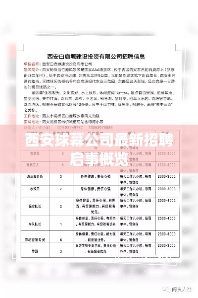 西安球幕公司最新招聘启事概览