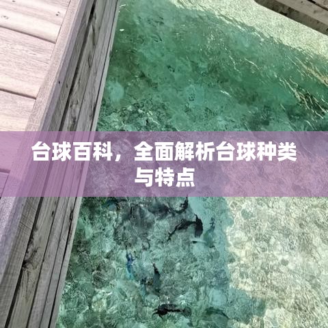 台球百科，全面解析台球种类与特点