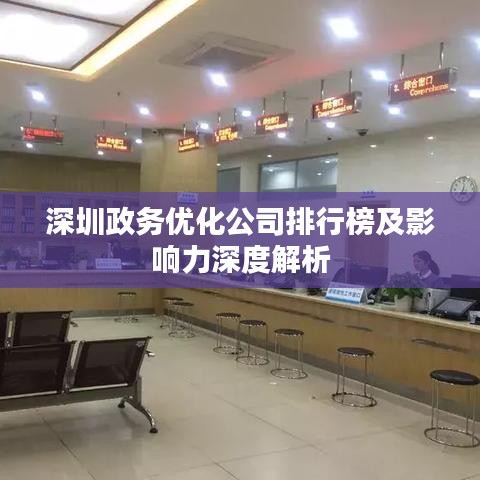 深圳政务优化公司排行榜及影响力深度解析