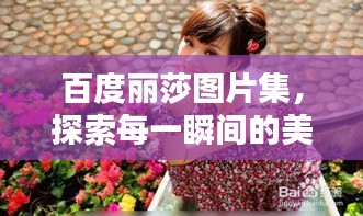 百度丽莎图片集，探索每一瞬间的美丽神韵