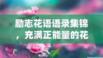 励志花语语录集锦，充满正能量的花语大全