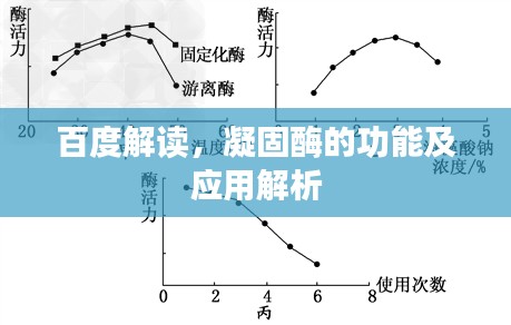 大张旗鼓