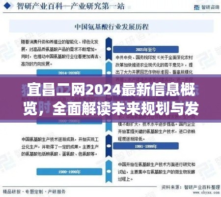 宜昌二网2024最新信息概览，全面解读未来规划与发展趋势